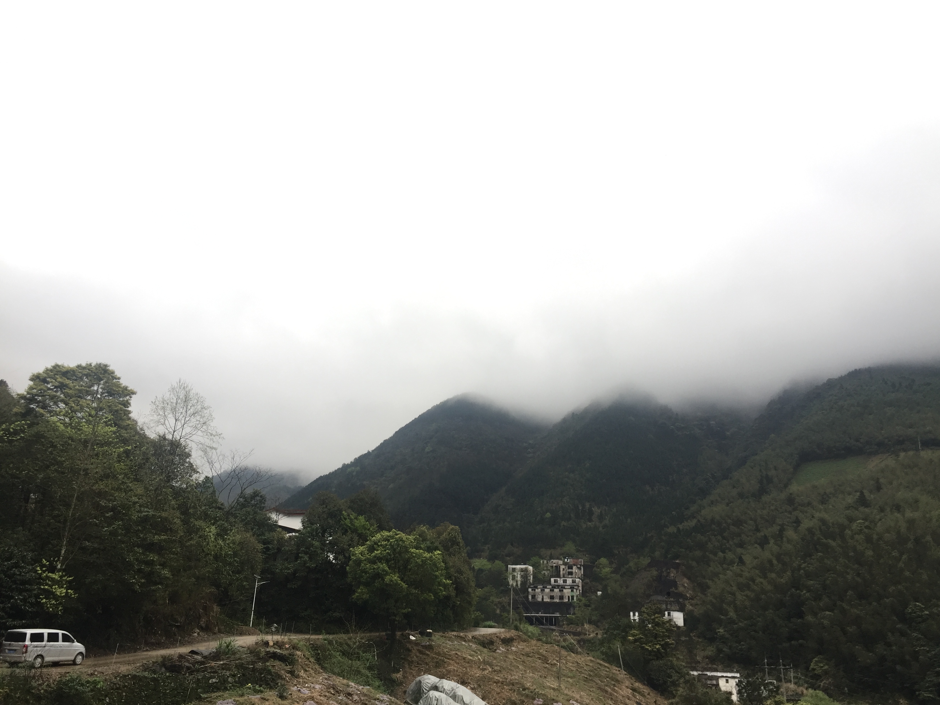 地面拍的