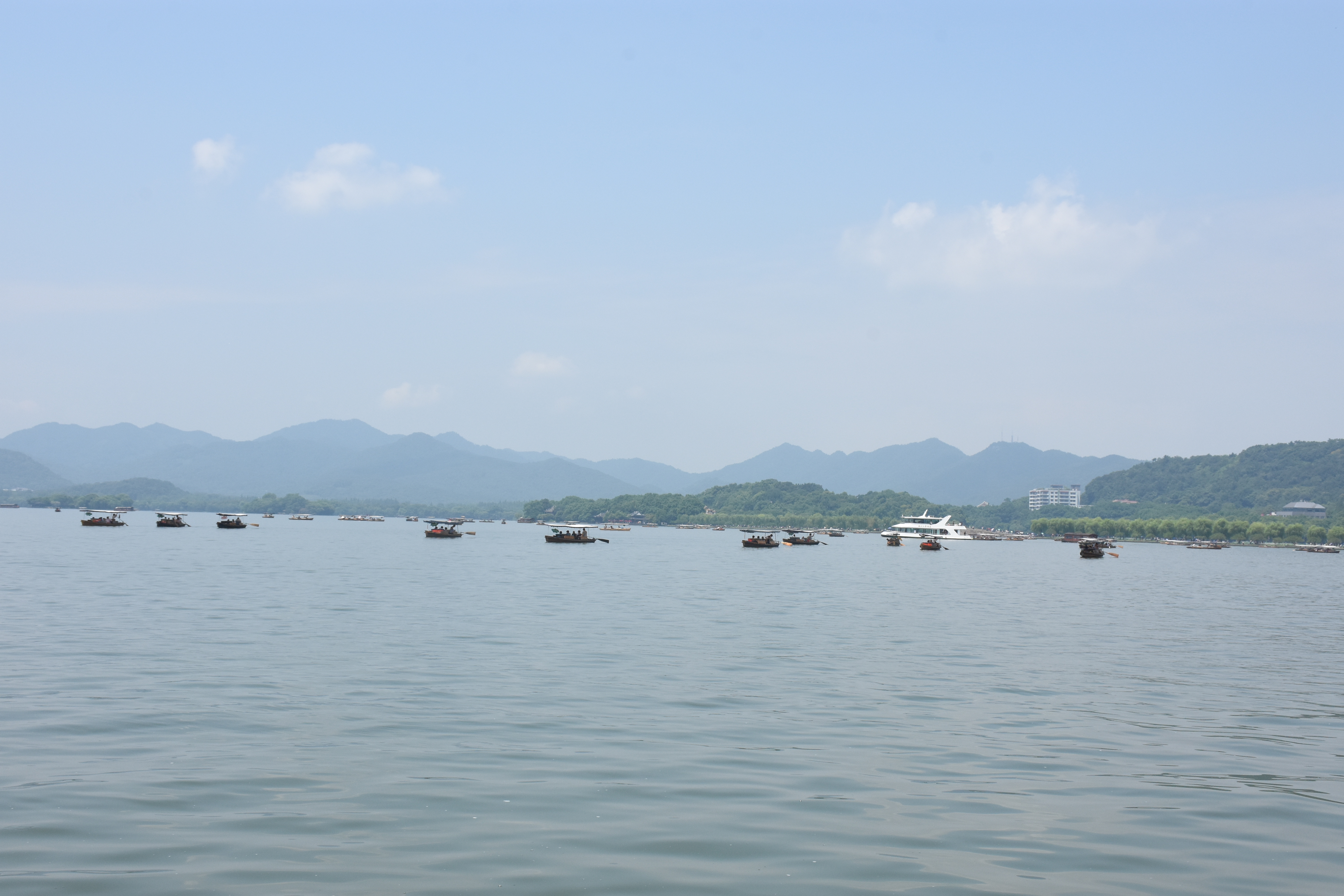 满湖的船
