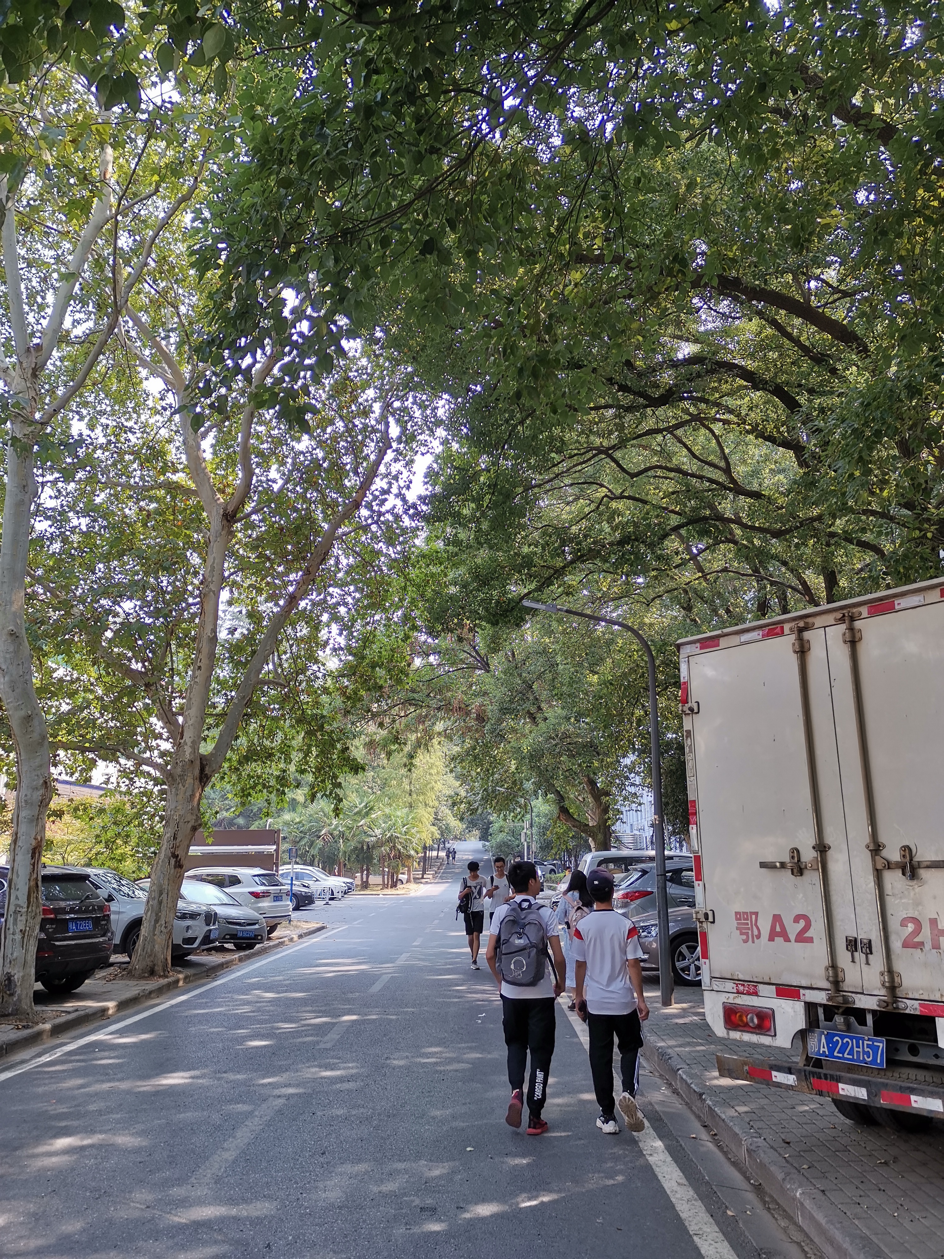 武大某条路