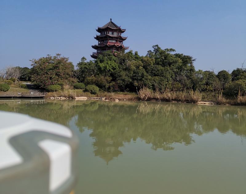 Featured image of post 我的2019