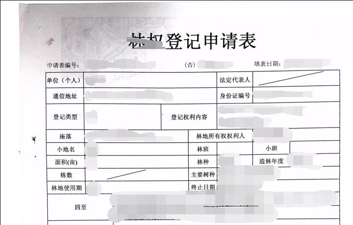 文档图片的大概